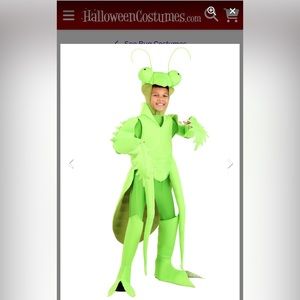 Child’s Deluxe Halloween Costume - Praying Mantis Bug